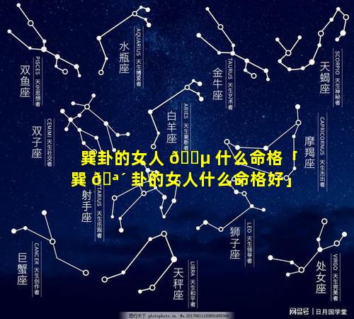巽卦的女人 🐵 什么命格「巽 🪴 卦的女人什么命格好」